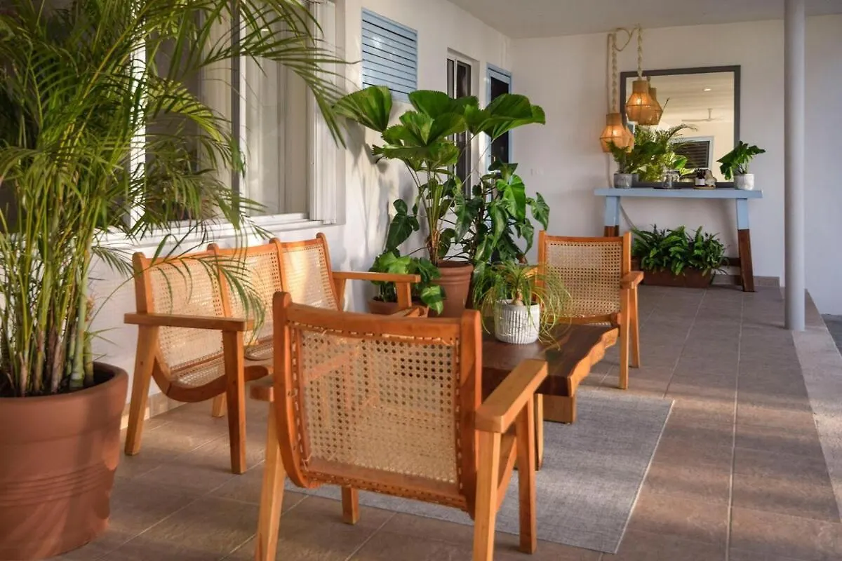 Gorgeous Beachfront Villa Cozumel Paradise