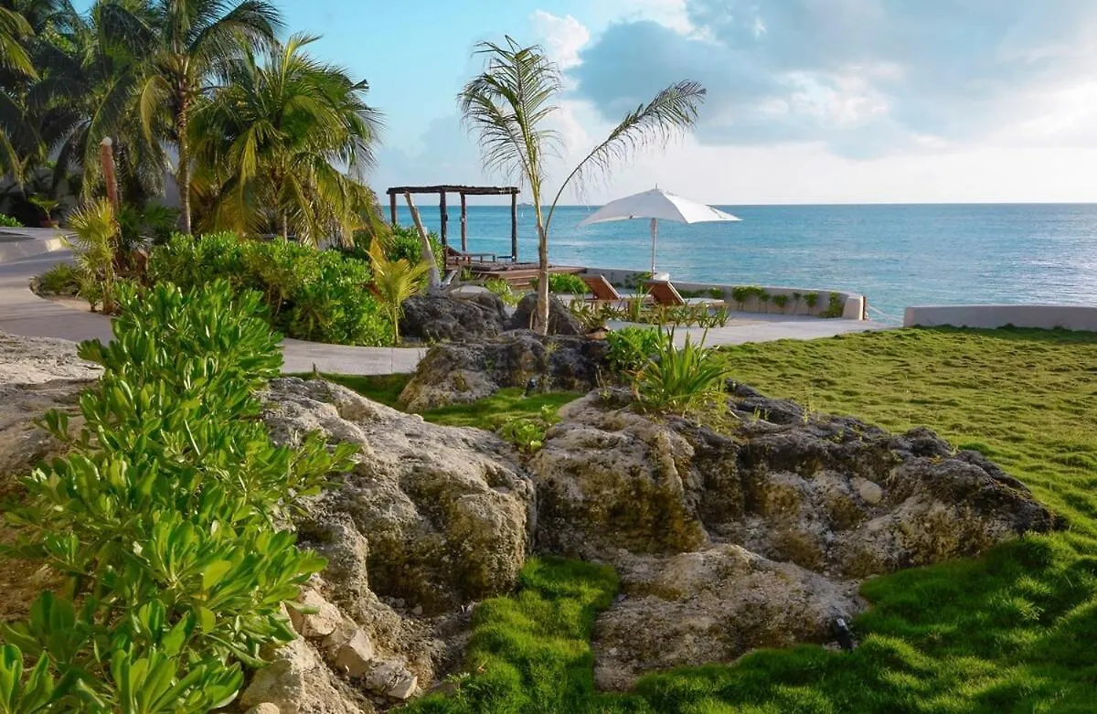 Gorgeous Beachfront Villa Cozumel Paradise 0*,